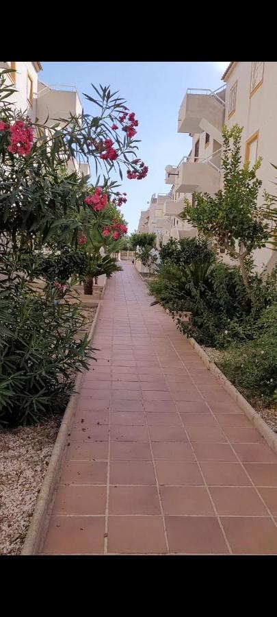 Apartamento Bajo Con Terraza Y Piscina تورّيفيِخا المظهر الخارجي الصورة